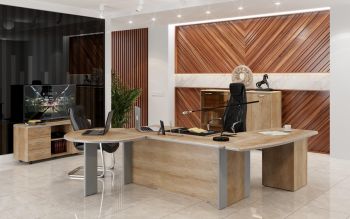 Кабинет руководителя DIONI