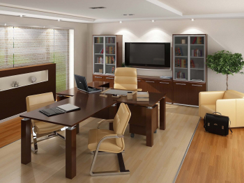 Кабинет руководителя Дипломат-Ф