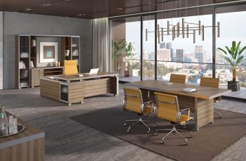 Кабинет руководителя EDVARD