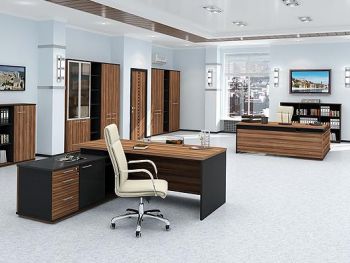 Кабинет руководителя Сенатор-Ф