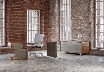 Кабинет руководителя Speech