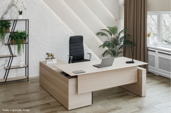 Кабинет руководителя Tesla