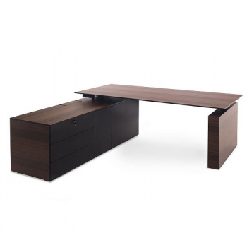 Стол письм. с тумбой SX ЭВКАЛИПТ МОРЕН/ЧЕРН 110 103 ECL BL