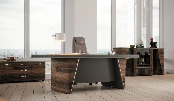 Кабинеты руководителя New Tone. Фото 1