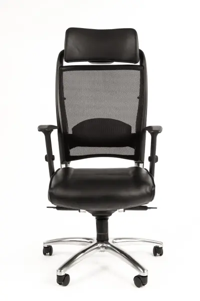 Кресло для руководителя CHAIRMAN Ergo 281 chrome. Фото 1