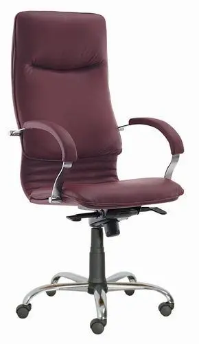 Кресло для руководителя Nova steel silver. Фото 1