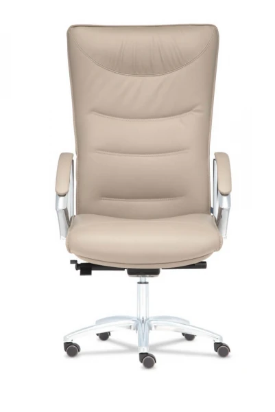 Кресло для руководителя Теодор.D100. Фото 1