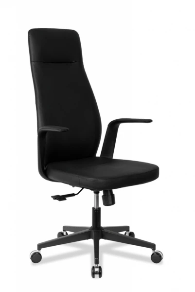 Кресло руководителя бизнес-класса. Фото 1