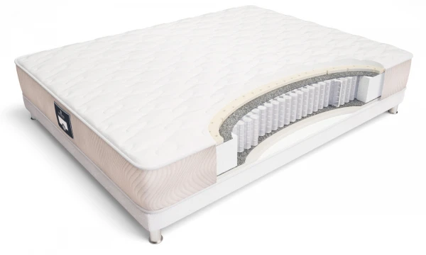 Матрас ECOLOGIC DREAM MAXI 200x200. Фото 1