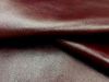 бордовый-stella clean bordo