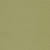 оливковый 583